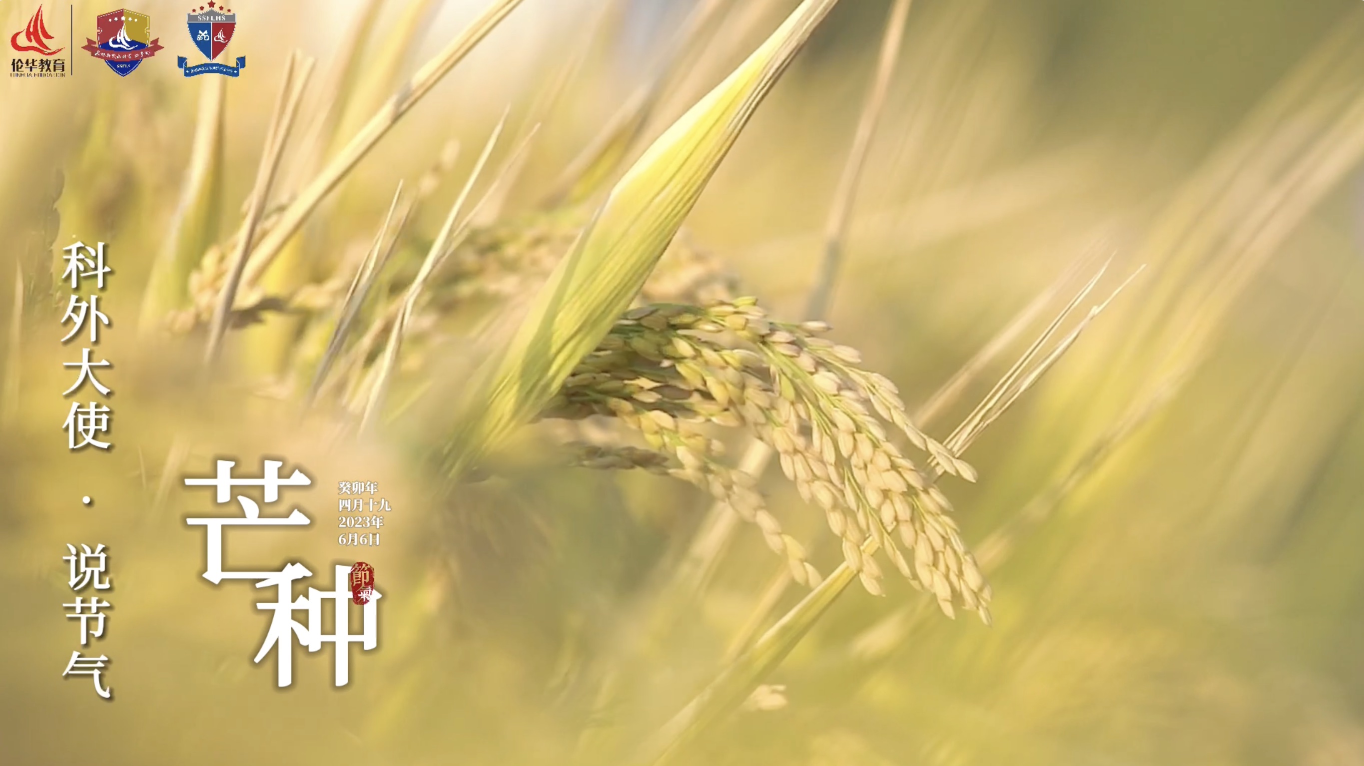 科外&科中二十四节气——芒种｜泽草所生 种之芒种