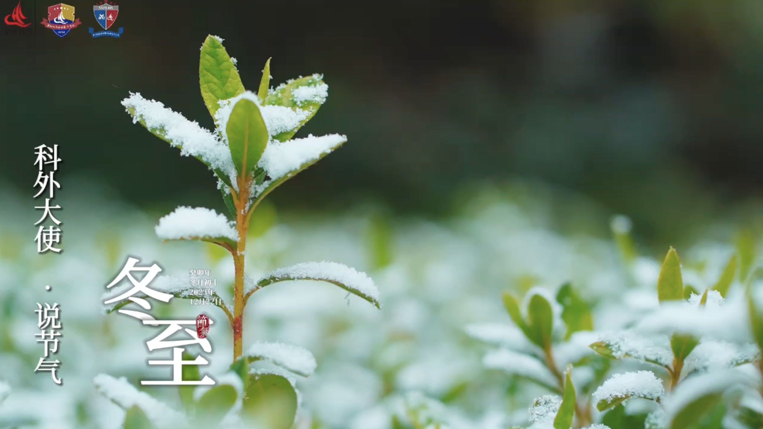 科外&科中二十四节气——冬至｜天时人事日相催，冬至阳生春又来