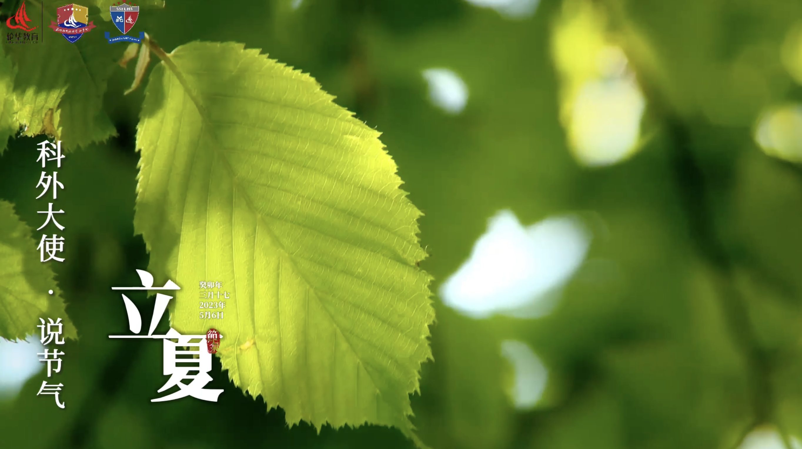 科外&科中二十四节气——立夏｜草木葱茏 欣欣向荣