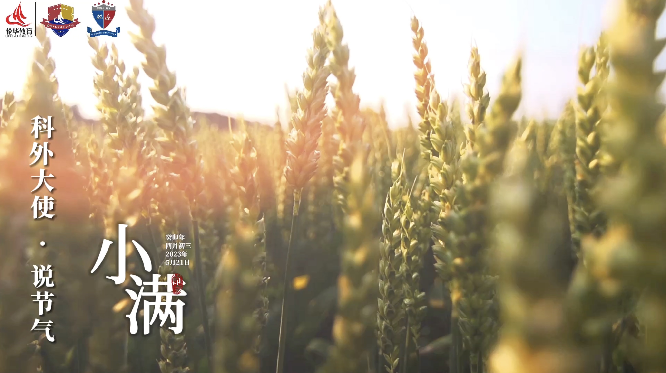 科外&科中二十四节气——小满｜万物始茂 盈而未满