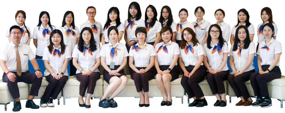 团队