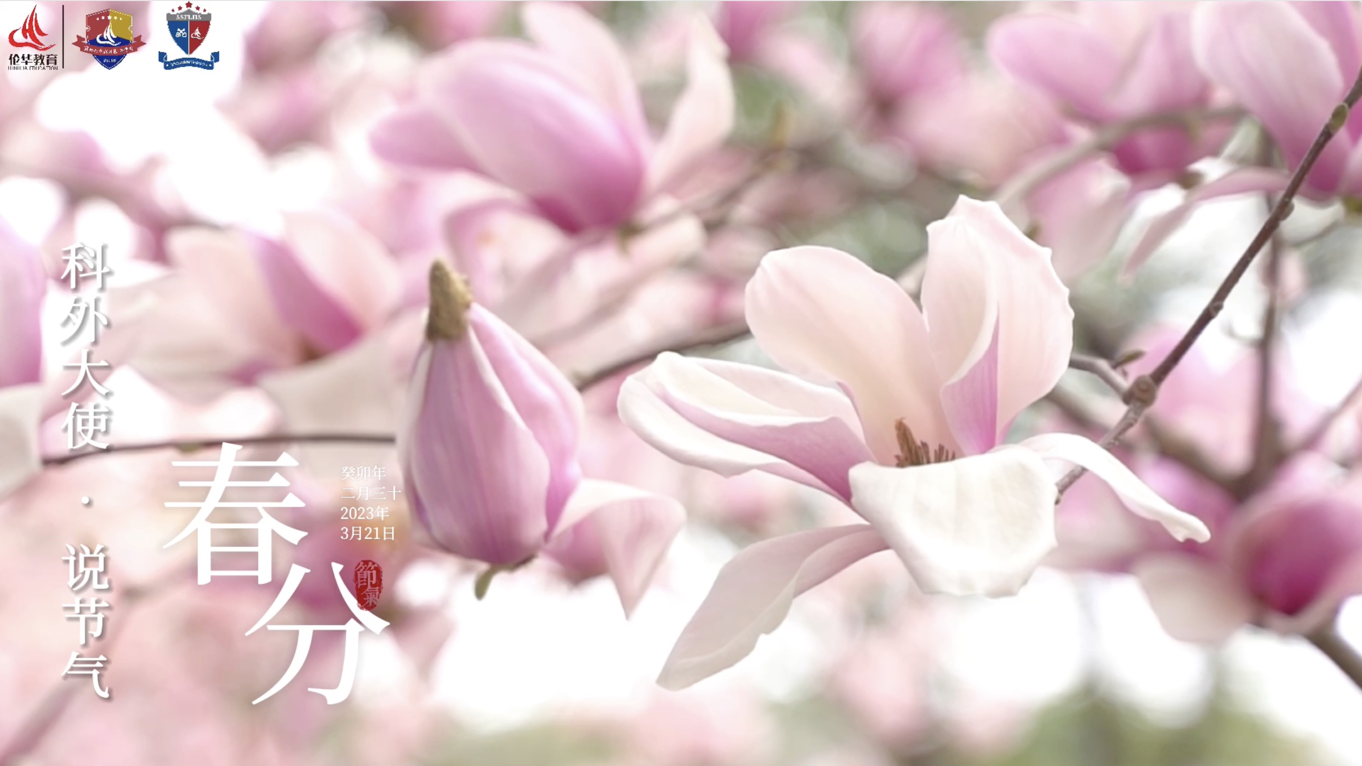 科外&科中二十四节气——春分｜昼夜等长 春色平分