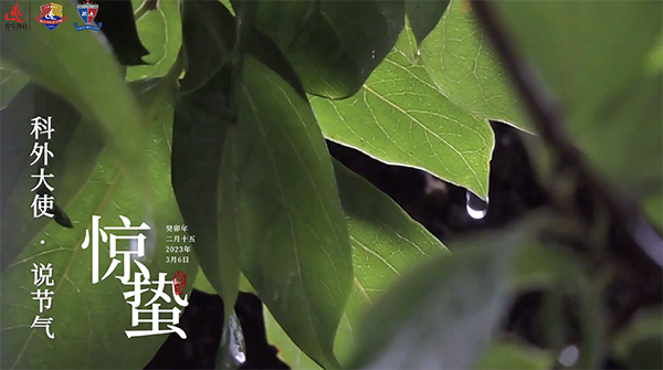 科外&科中二十四节气 ——惊蛰。春雷醒万物，惊蛰萌新生！