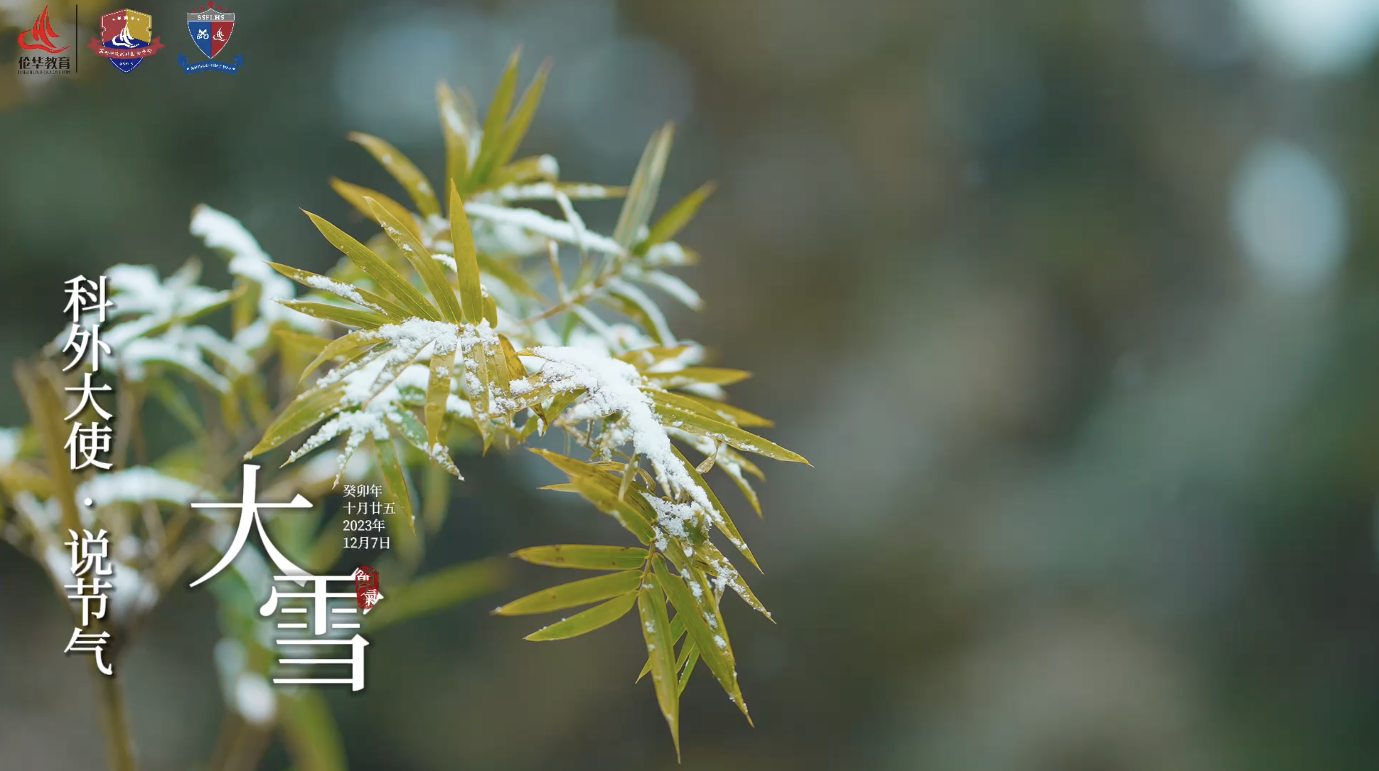 科外&科中二十四节气——大雪｜大雪渐寒 岁暮清欢