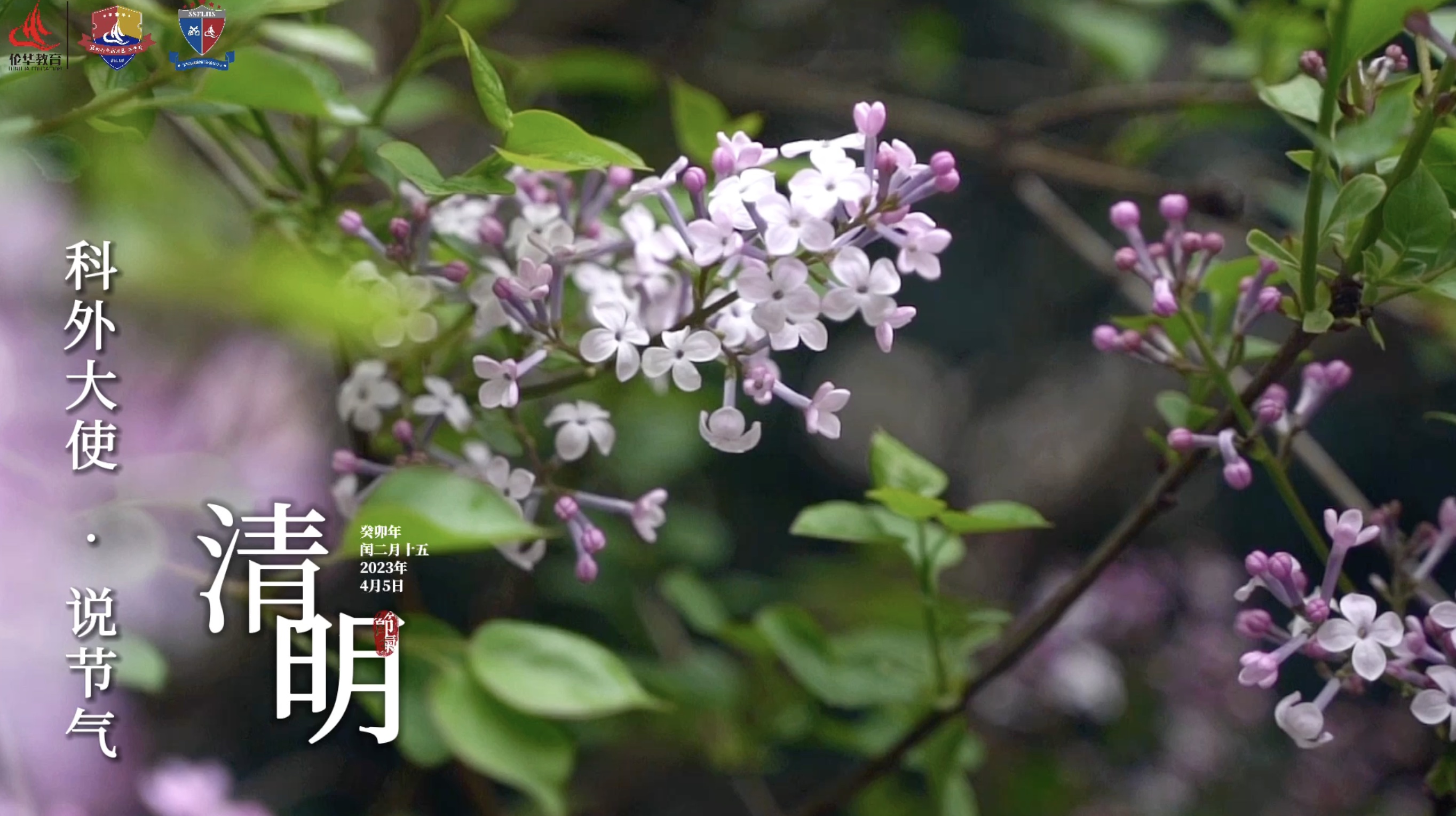 科外&科中二十四节气——清明｜气清景明 万物皆显