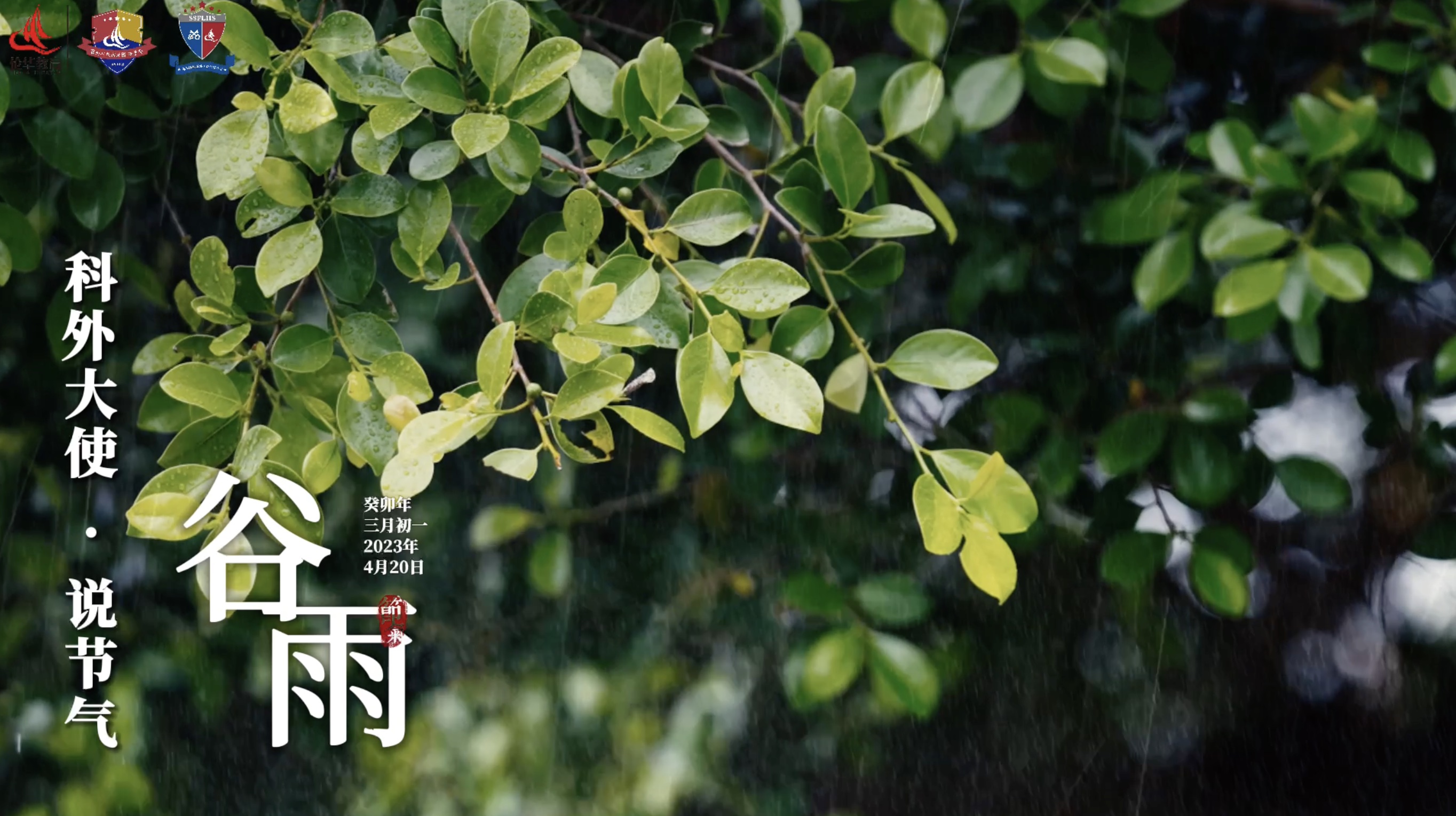 科外&科中二十四节气——谷雨｜谷雨春光晓，山川黛色青。