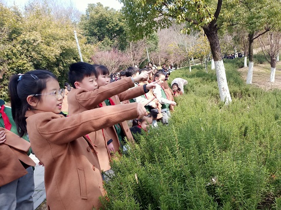 图2.jpeg