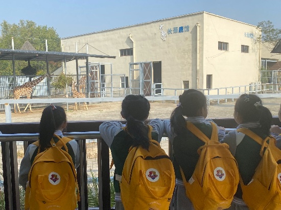 图片3.JPG