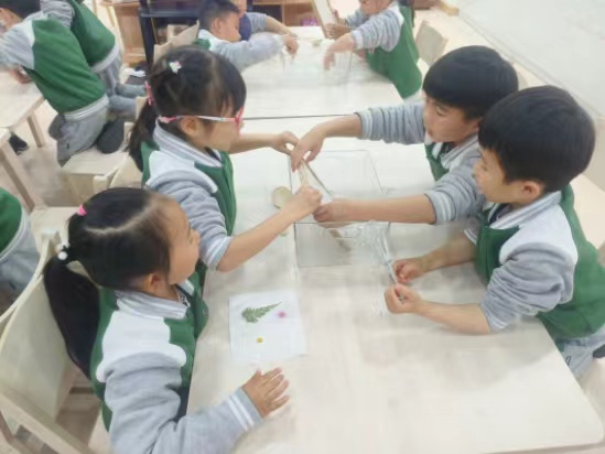 图2.jpg