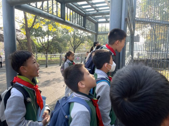 图1.JPG