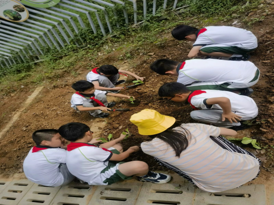 图1.png