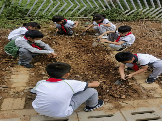 图5.png