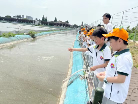 图3.jpg