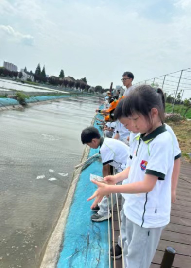图2.jpg
