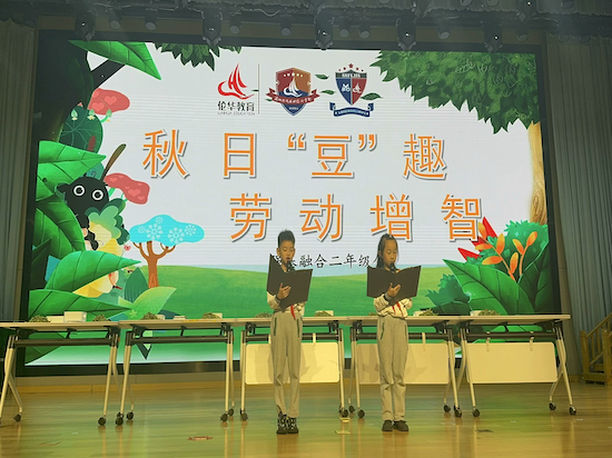 封面.png