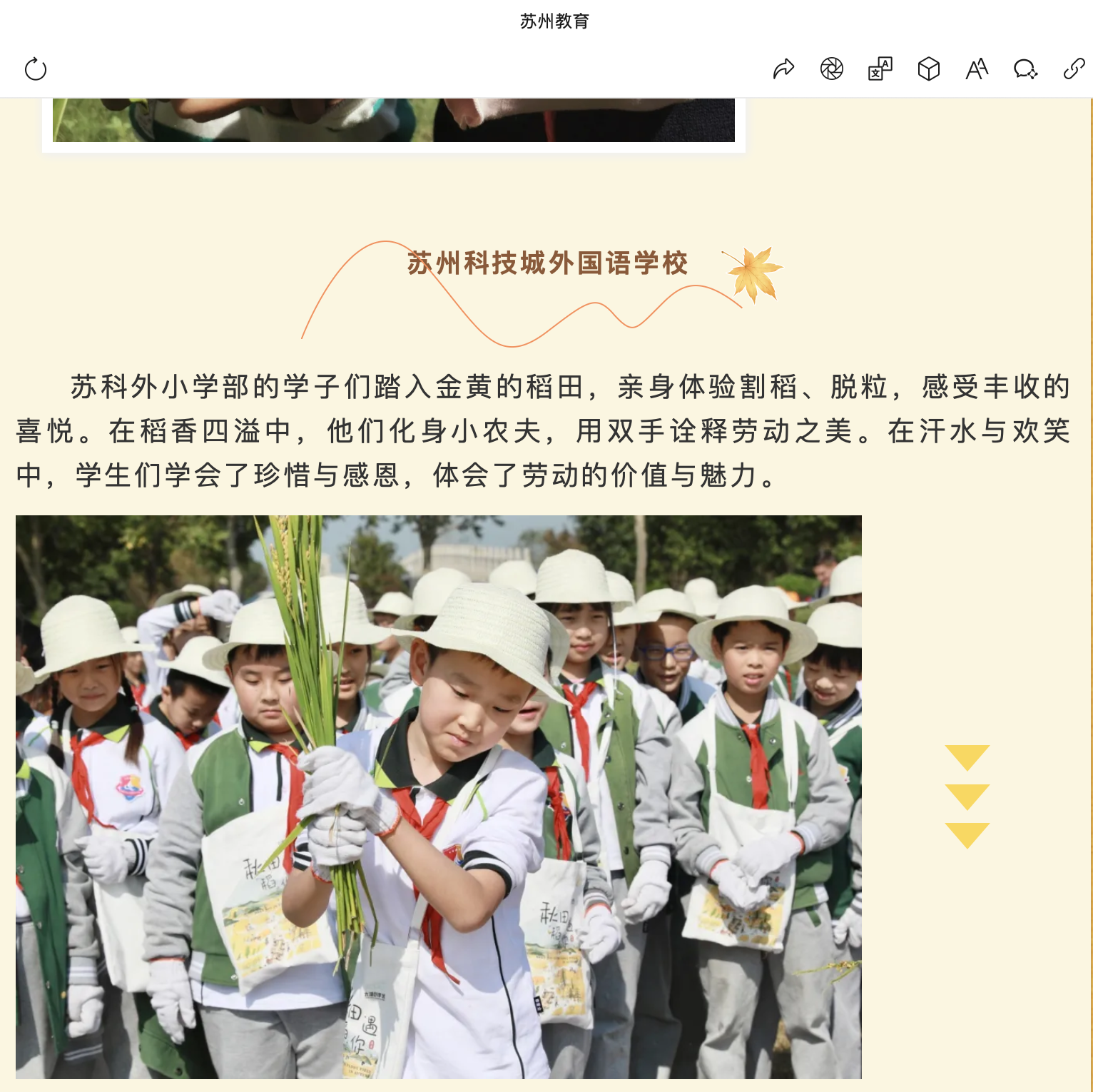 截屏2024-12-05 08.31.30.png