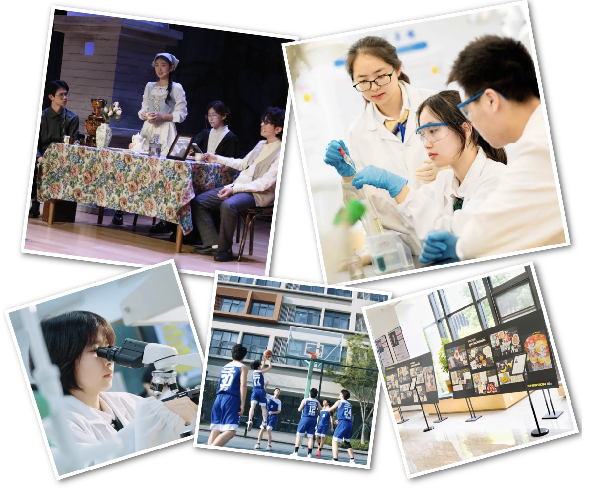 截屏2025-11-03 15.11.11.png