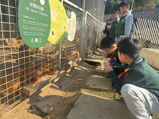 微信图片_20260118160113.jpg 微信图片_20260118160113.jpg