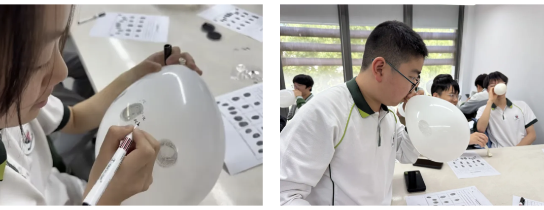 截屏2026-05-19 12.28.07.png 截屏2026-05-19 12.28.07.png